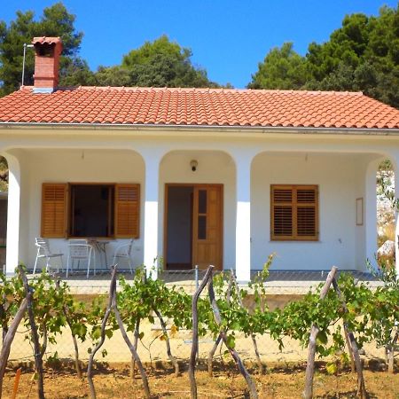הוילה קמפור House Fantazija מראה חיצוני תמונה