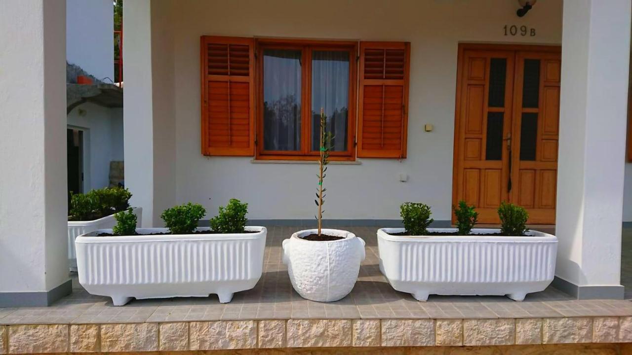 הוילה קמפור House Fantazija מראה חיצוני תמונה